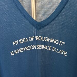 Wildfox Sheer Blue oversized puny Top